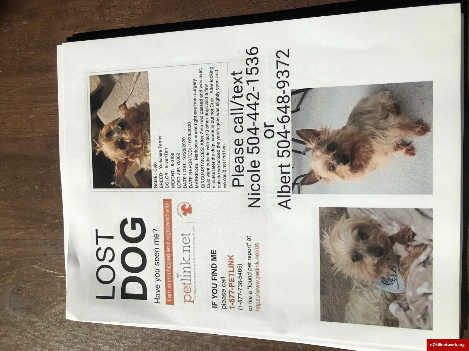 Lost dog in Kenner, LA, 70062