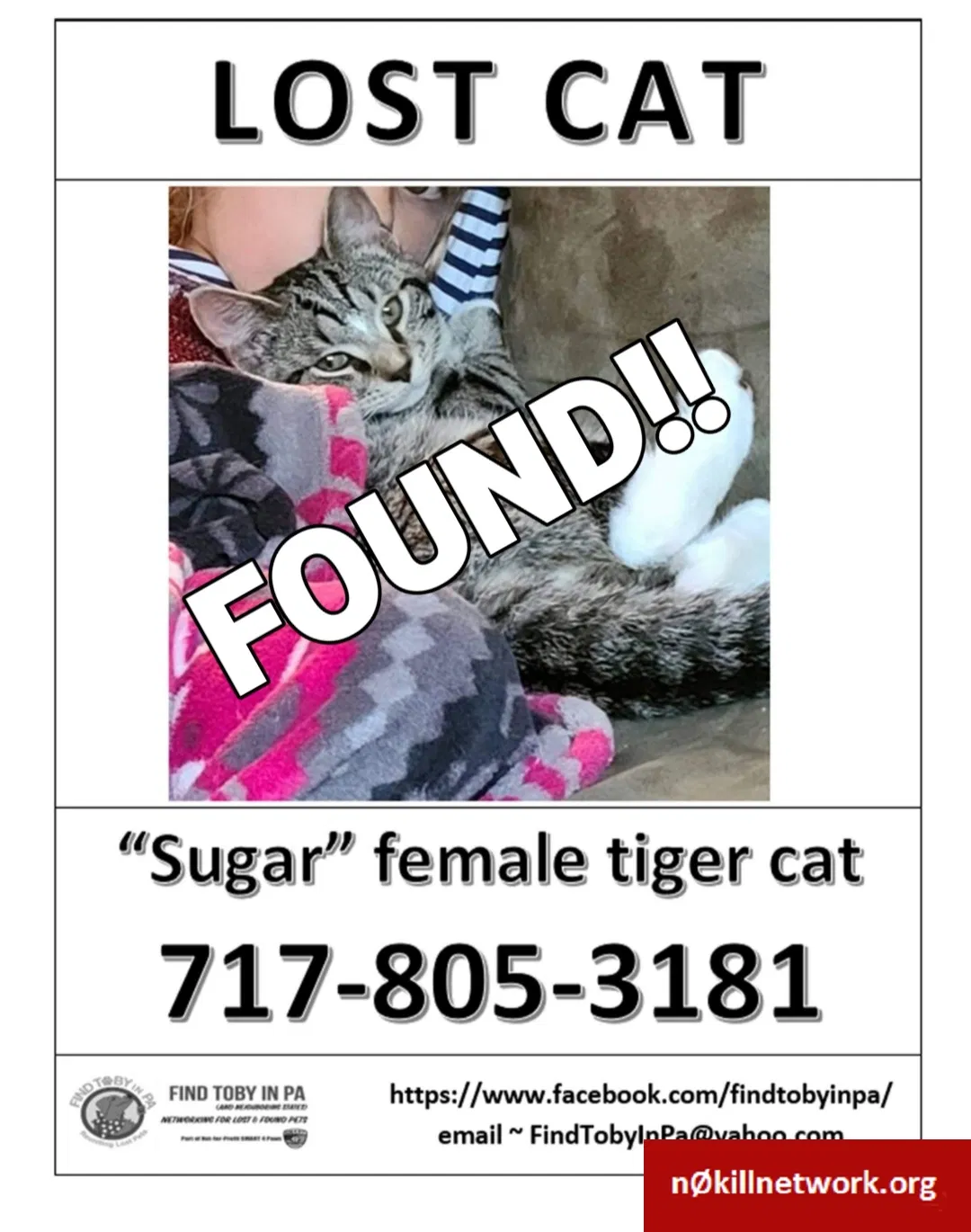 Found cat in Mechanicsburg, PA, 17050