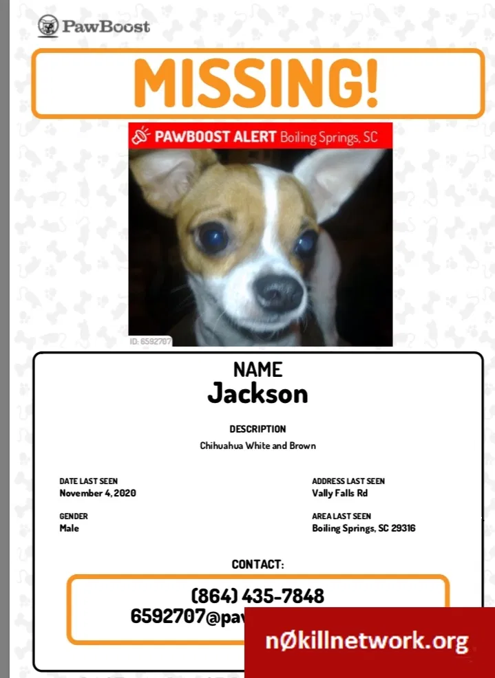 Lost dog in Boiling Springs, SC, 29316