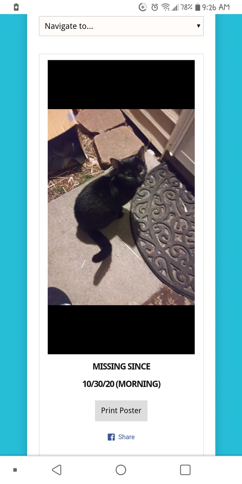 Lost cat in Des Moines, IA, 50315