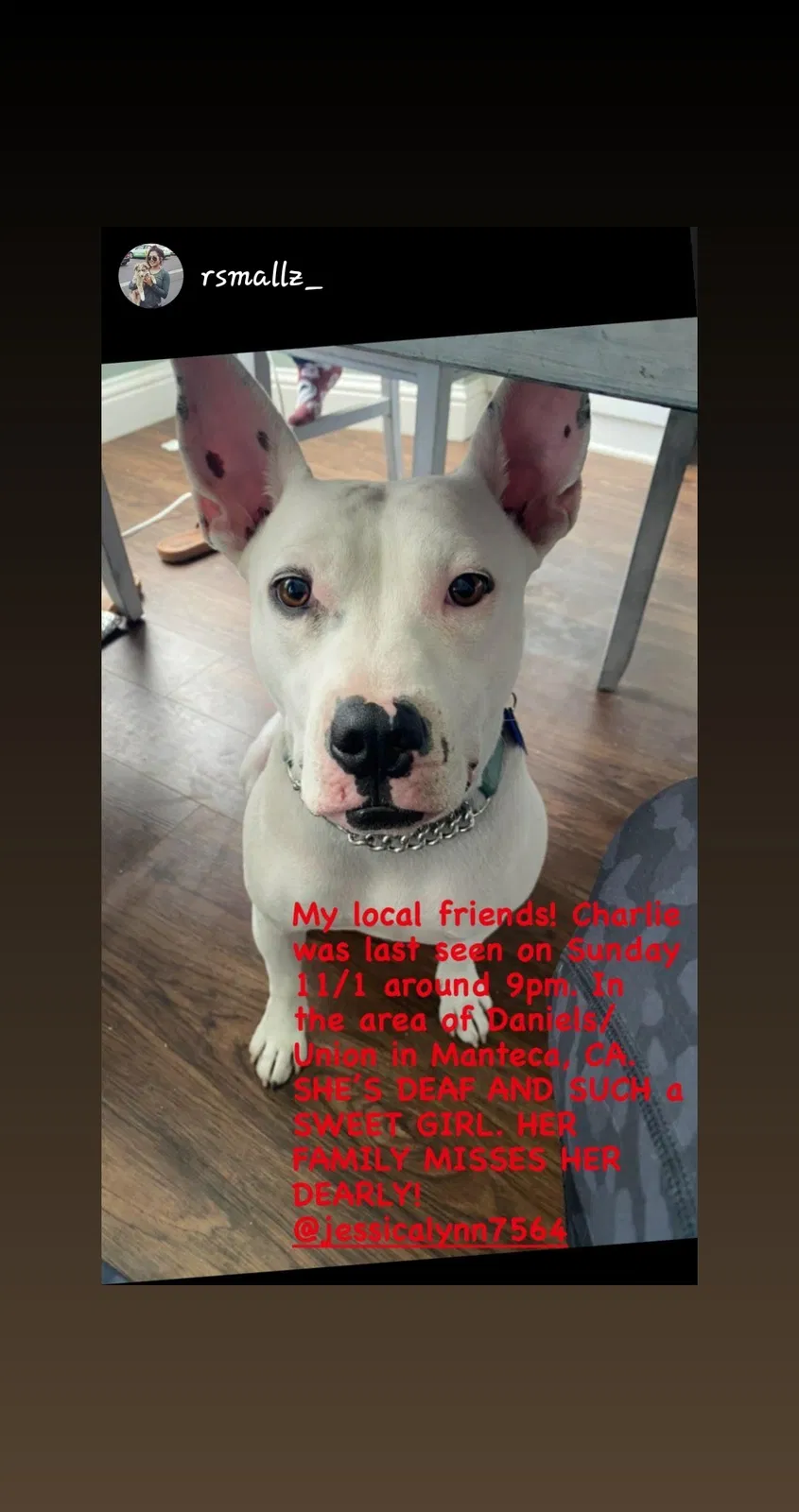 Lost dog in Manteca, CA, 95337