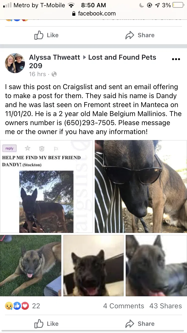 Lost dog in Manteca, CA, 95336