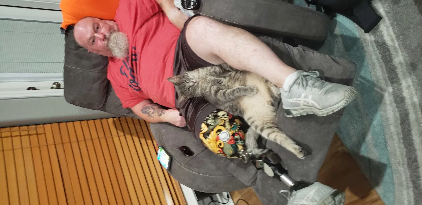 Lost cat in Rockport, TX, 78382