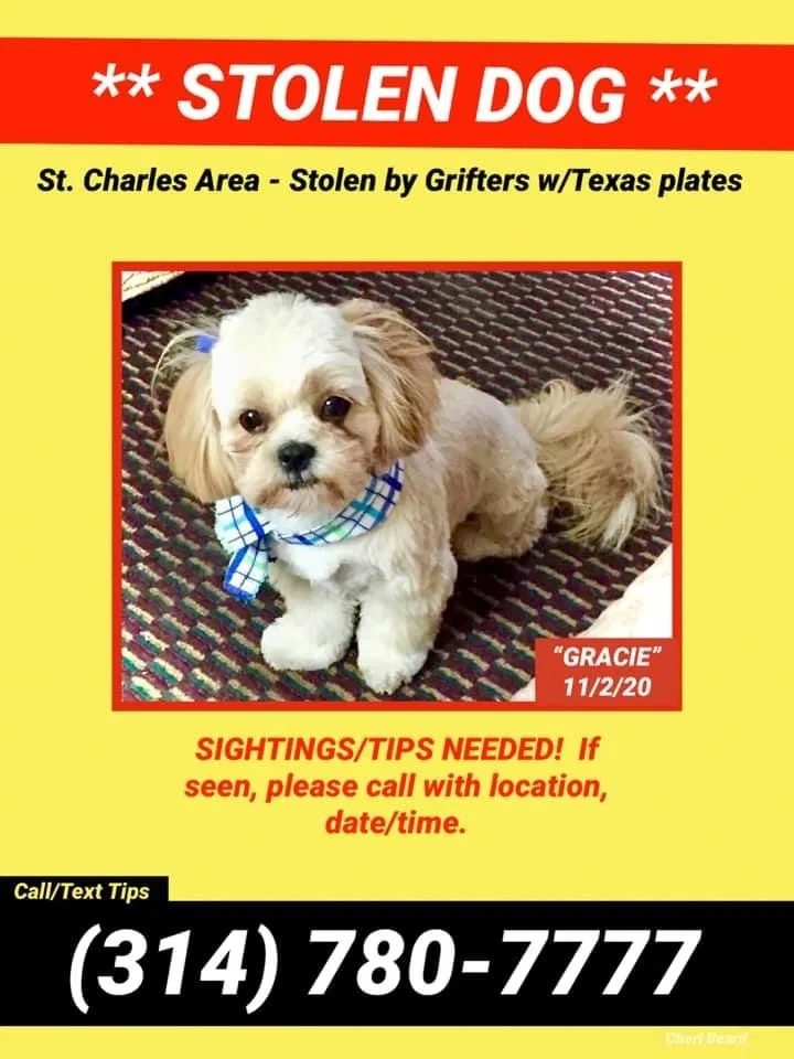 Lost dog in Saint Charles, MO, 63303