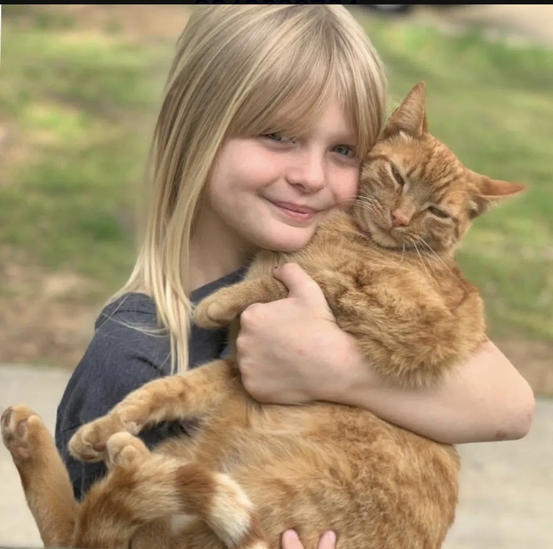 Lost cat in Asheville, NC, 28806