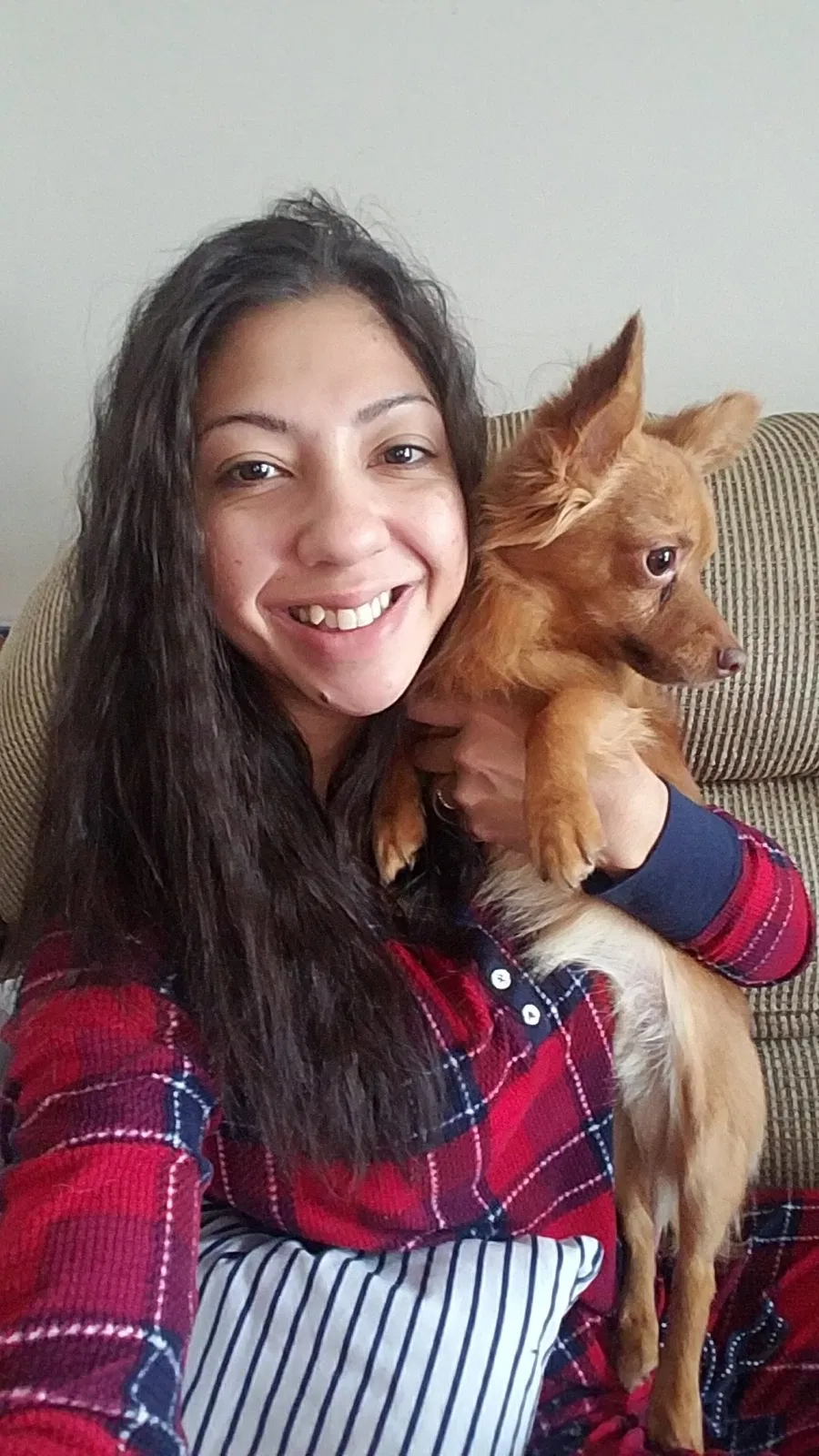 Lost dog in Layton, UT, 84040