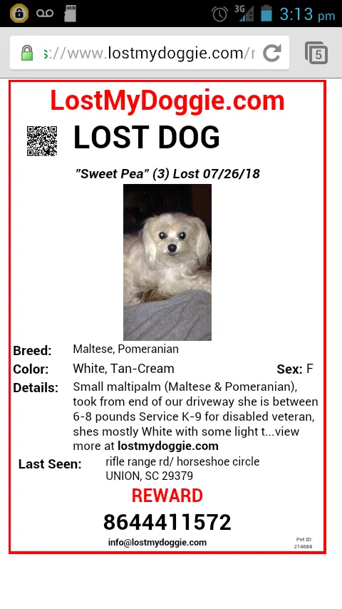 Lost dog in Union, SC, 29379