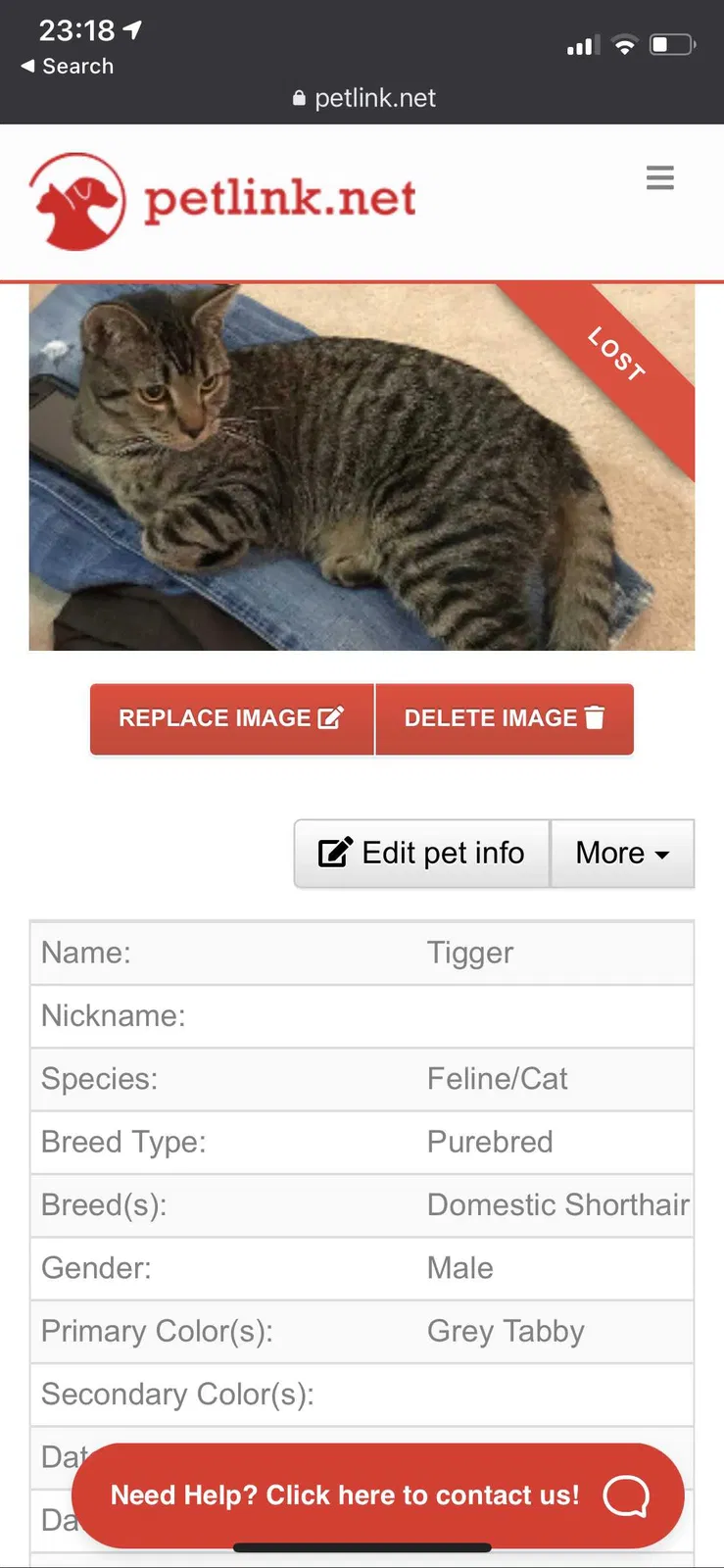 Lost cat in Colonial Heights, VA, 23834