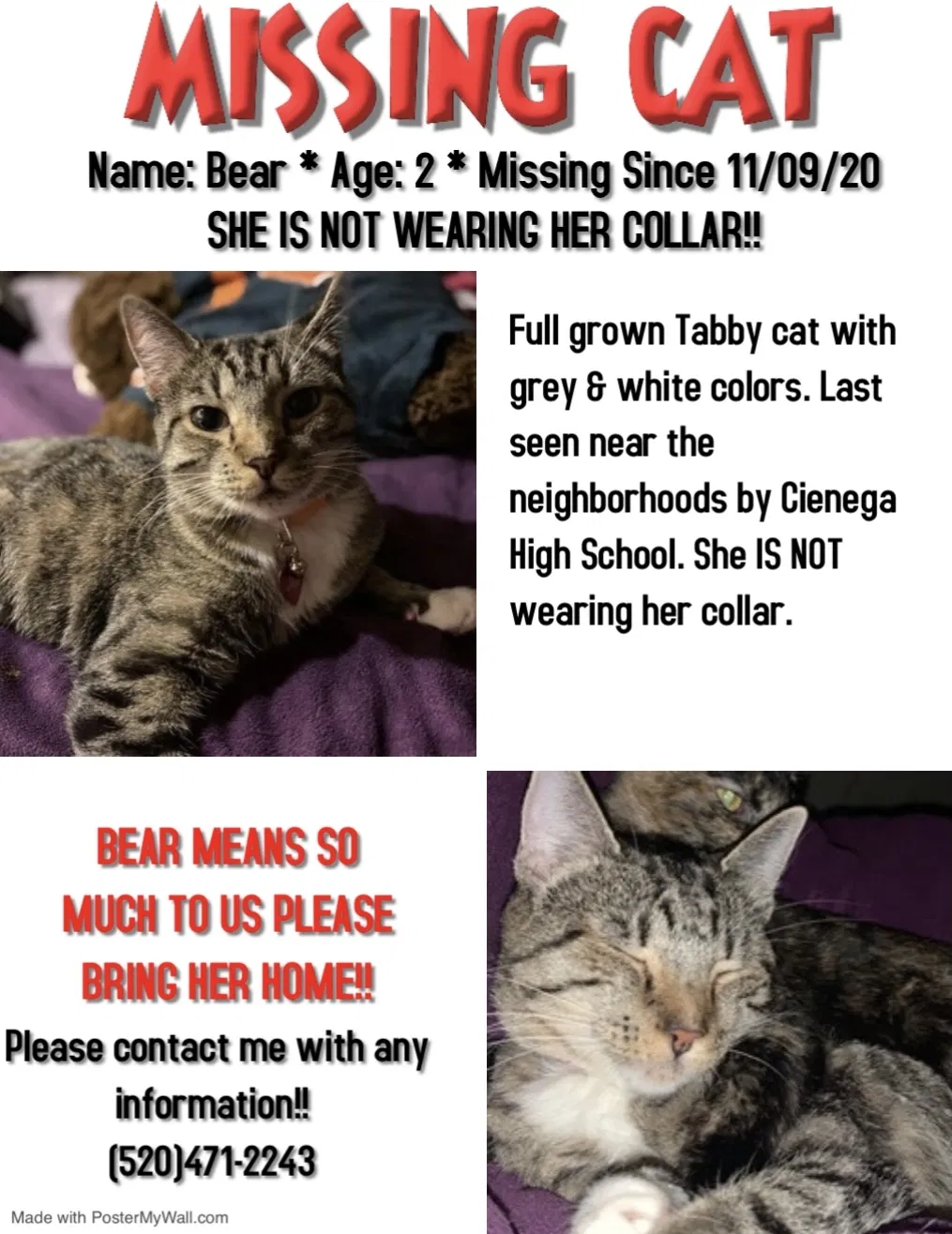 Lost cat in Vail, AZ, 85641