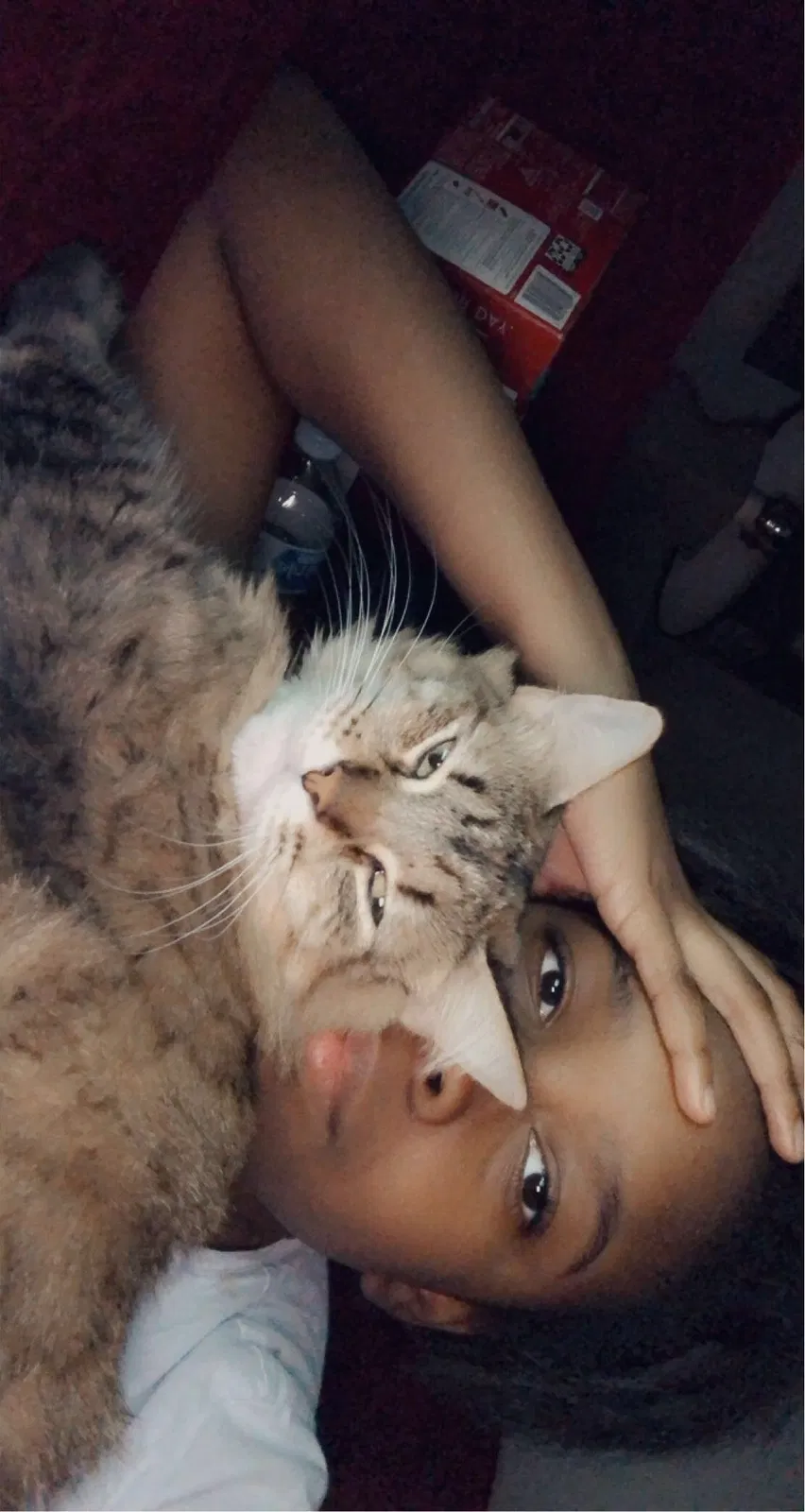 Lost cat in White Castle, LA, 70788