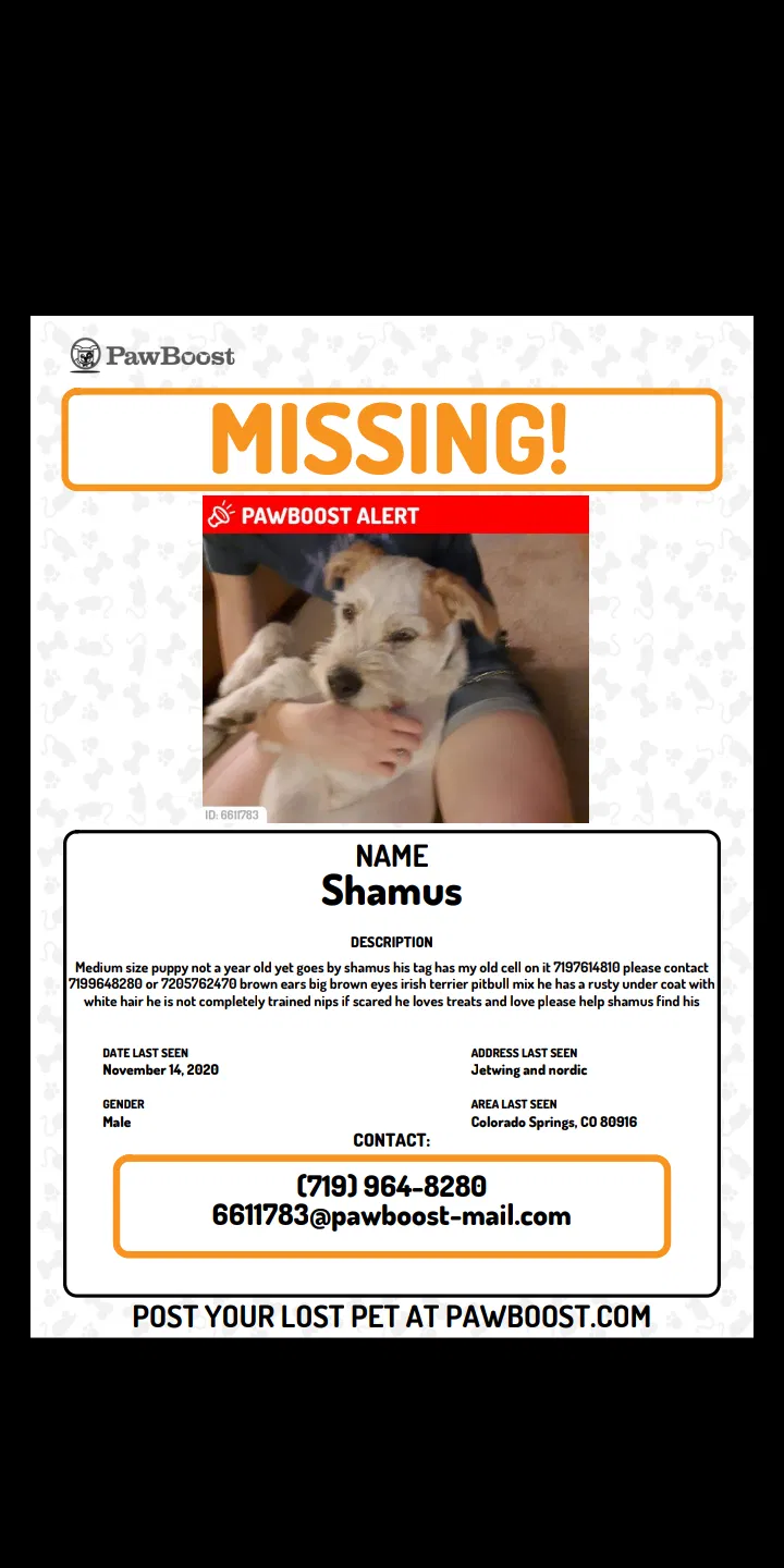 Lost dog in Colorado Springs, CO, 80916