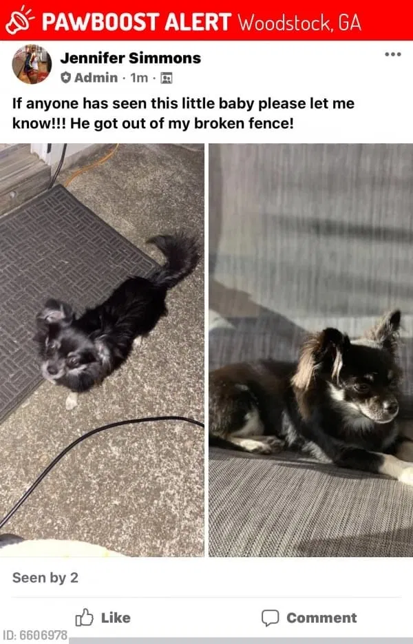 Lost dog in Woodstock, GA, 30188
