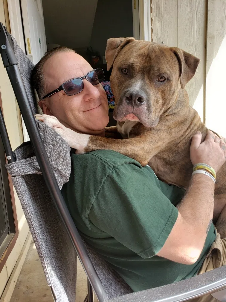 Lost dog in Springfield, MO, 65804