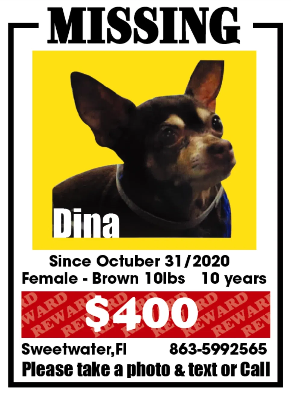 Lost dog in Miami, FL, 33172