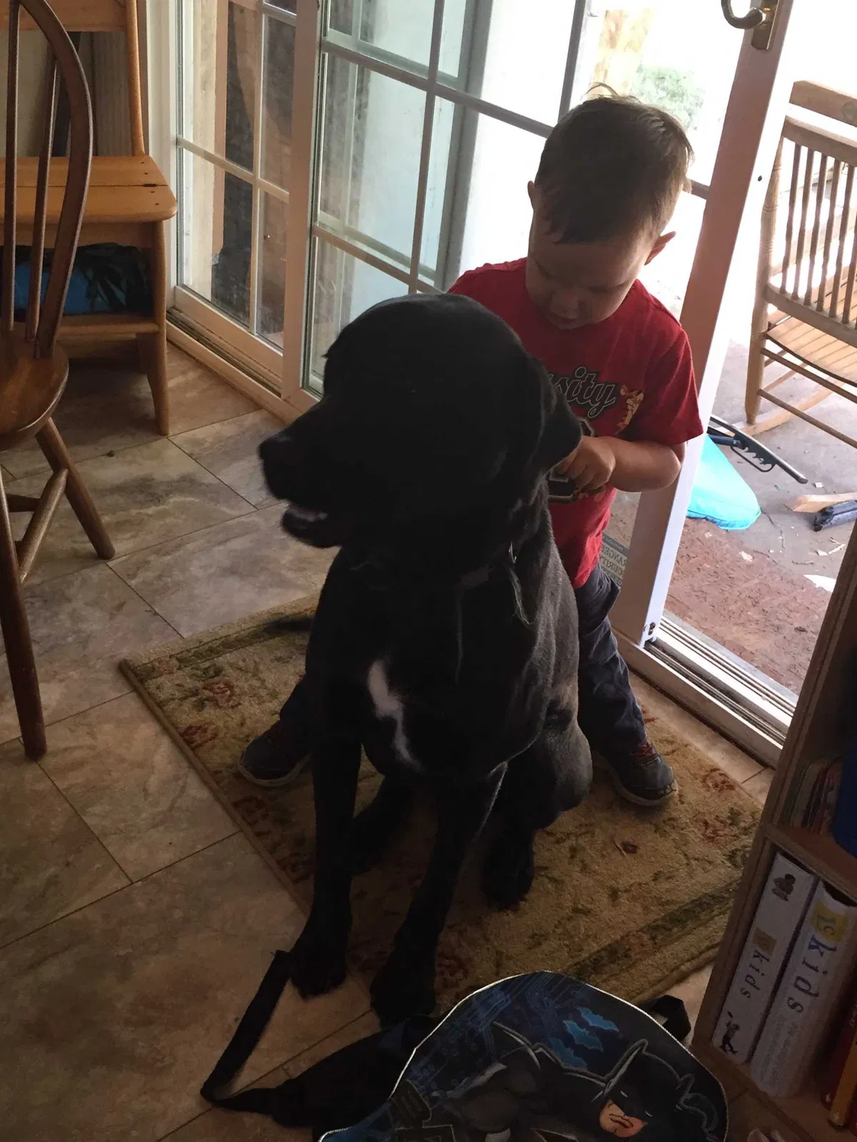Lost dog in Saint Matthews, SC, 29135