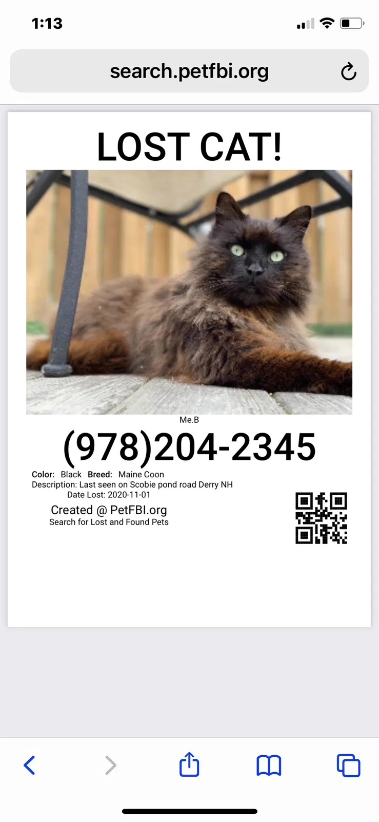 Lost cat in Derry, NH, 3038