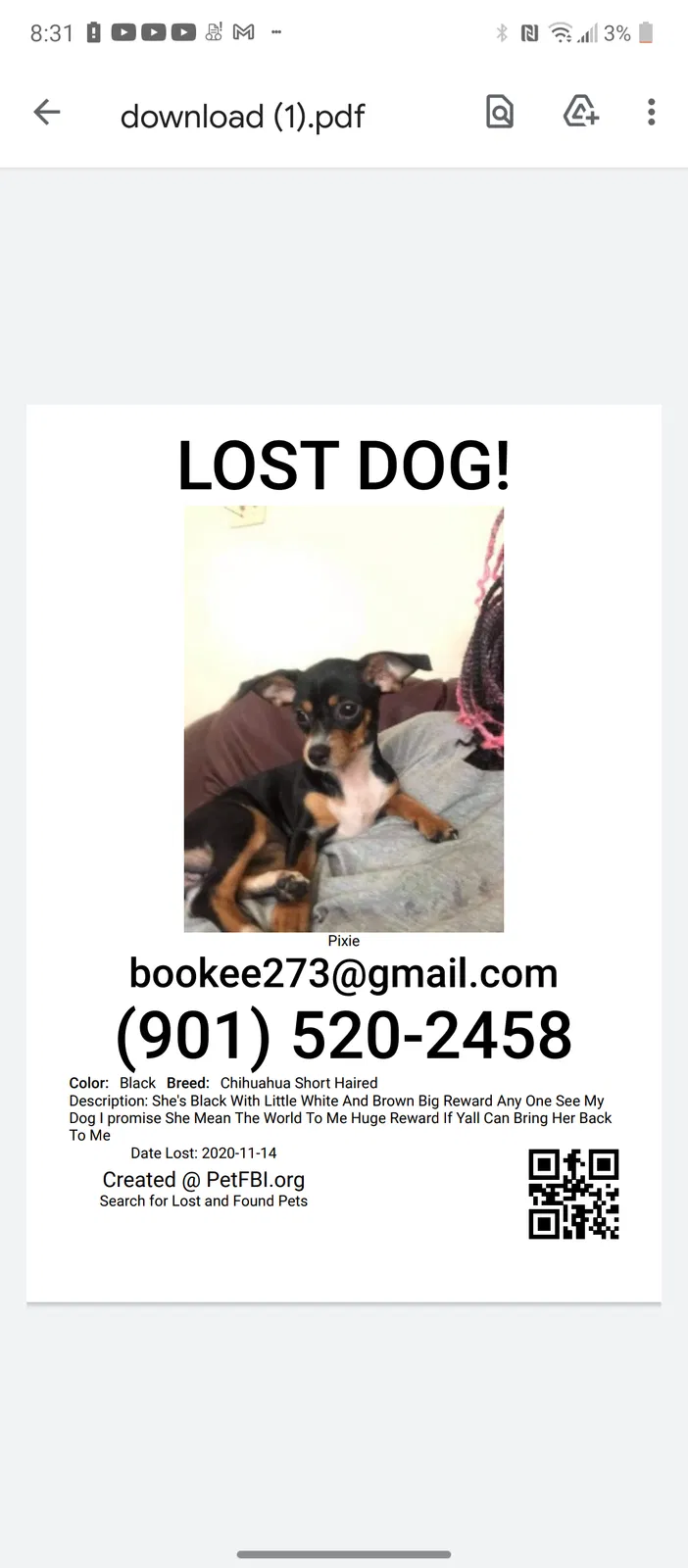 Lost dog in Memphis, TN, 38116