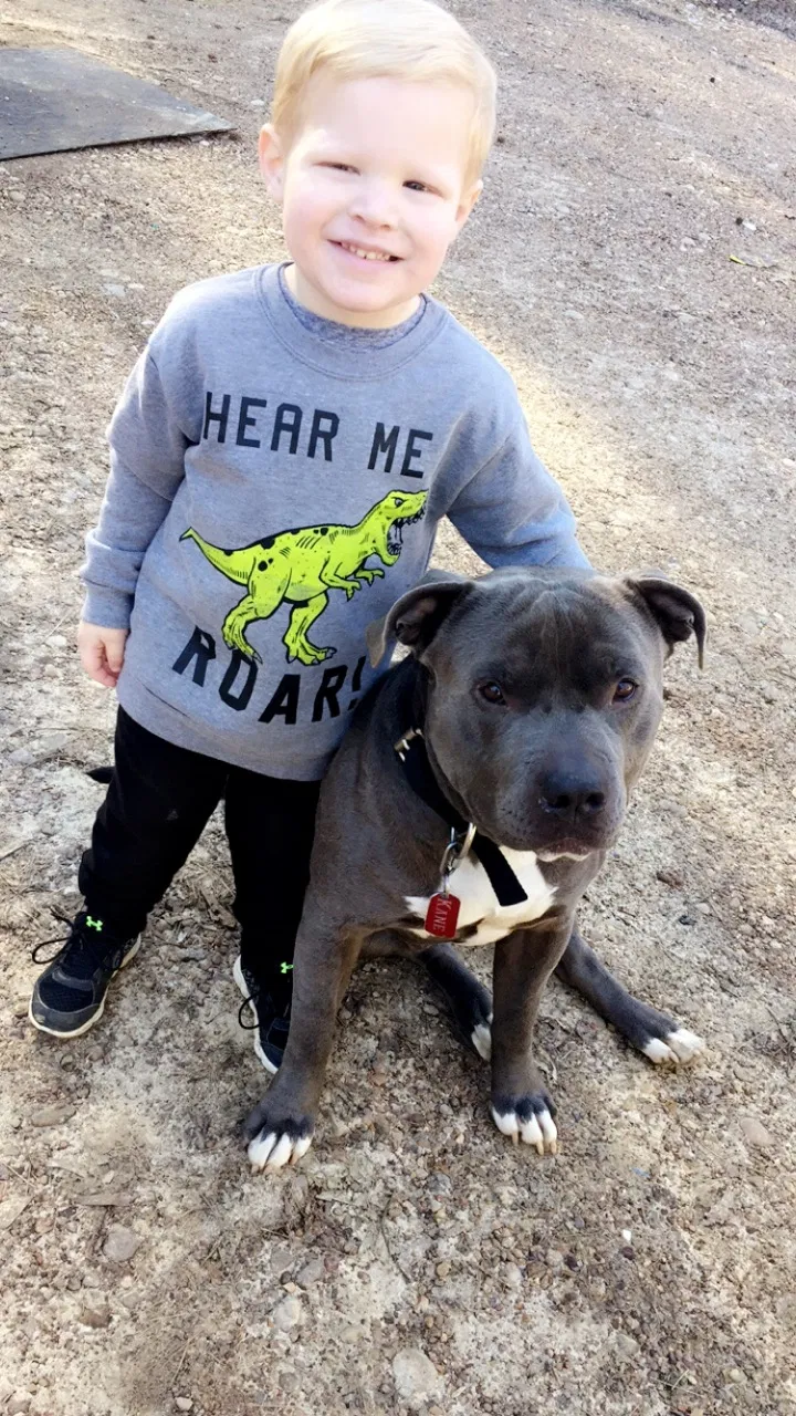 Lost dog in Centre, AL, 35960
