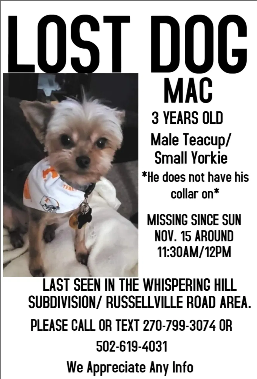 Lost dog in Bowling Green, KY, 42101