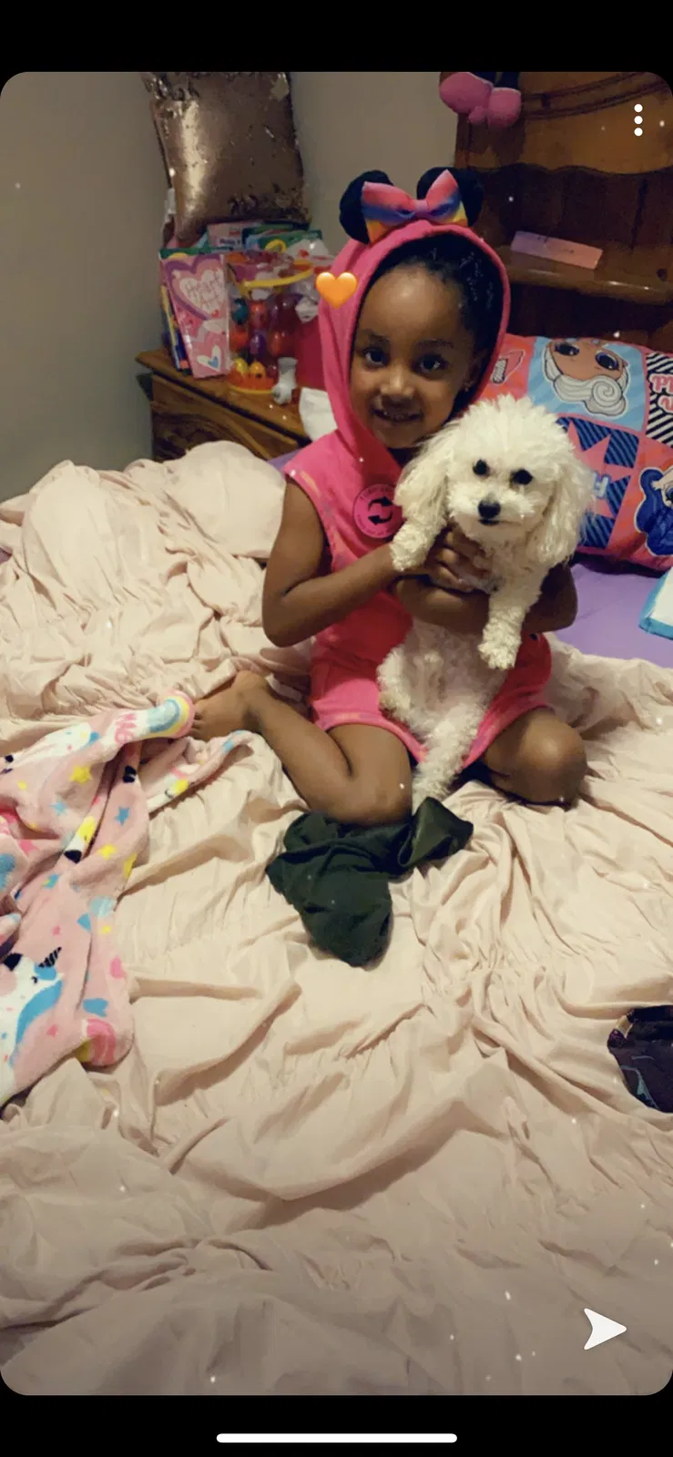 Lost dog in Jackson, MS, 39212