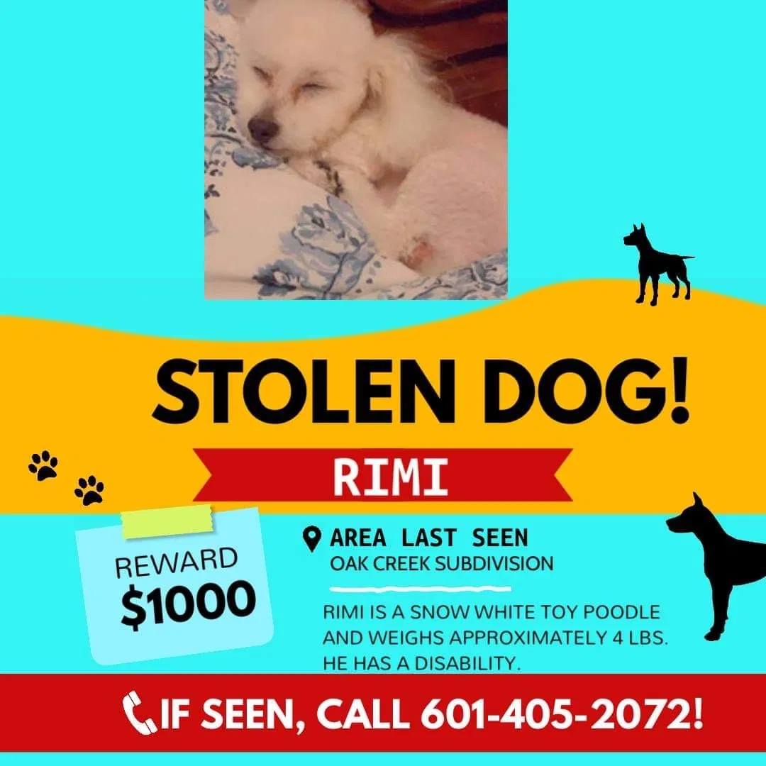 Lost dog in Jackson, MS, 39212