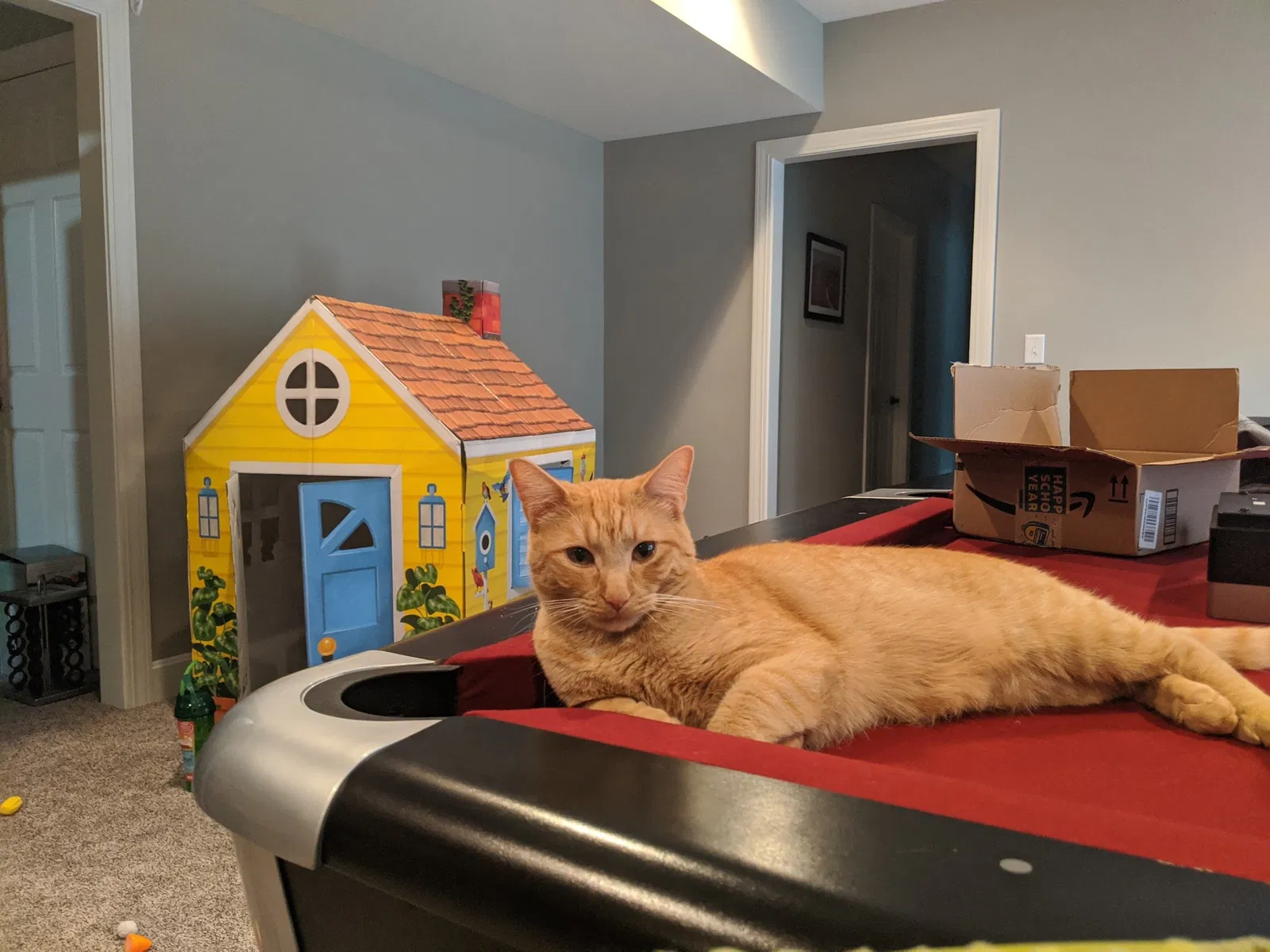 Lost cat in Manhattan, KS, 66503