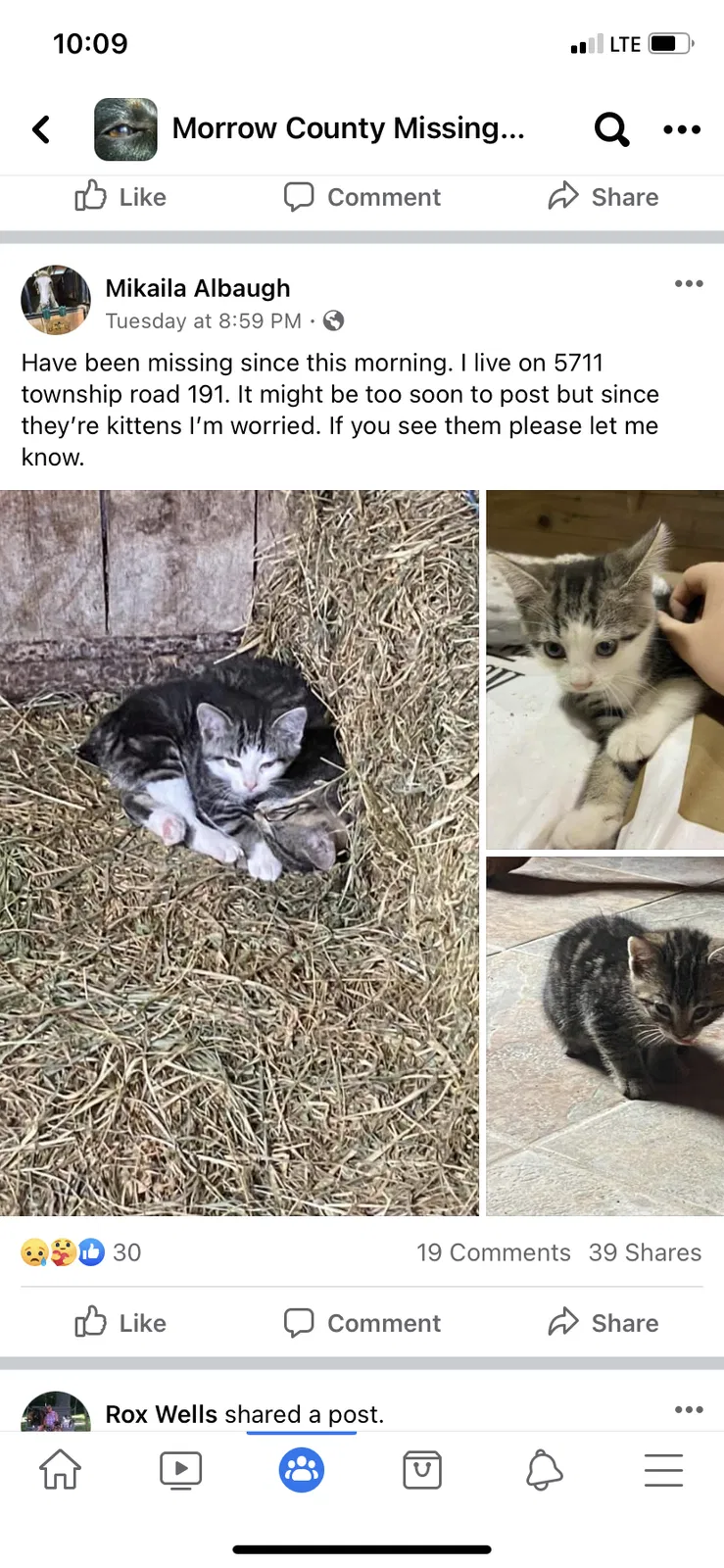 Lost cat in Marengo, OH, 43334