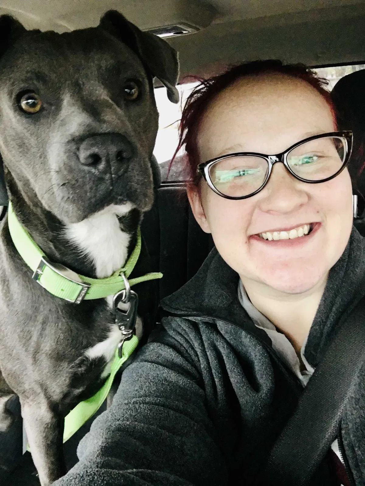 Lost dog in Candler, NC, 28715