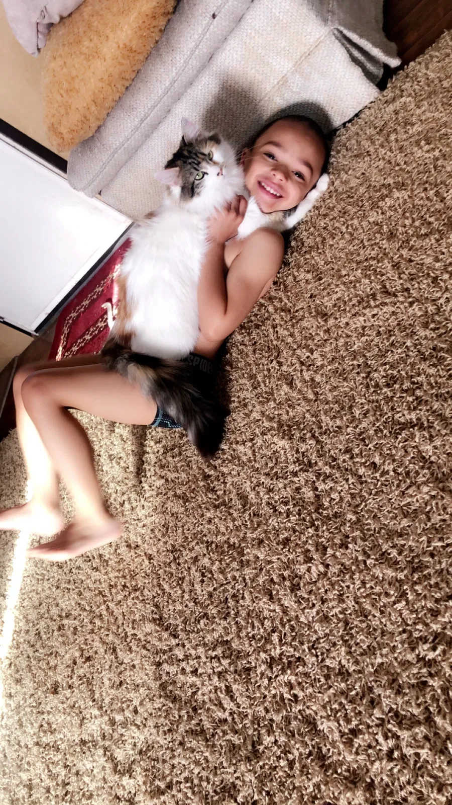Lost cat in El Paso, TX, 79932