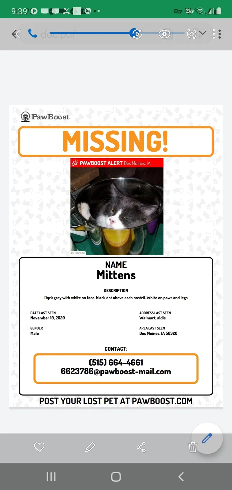 Lost cat in Des Moines, IA, 50320