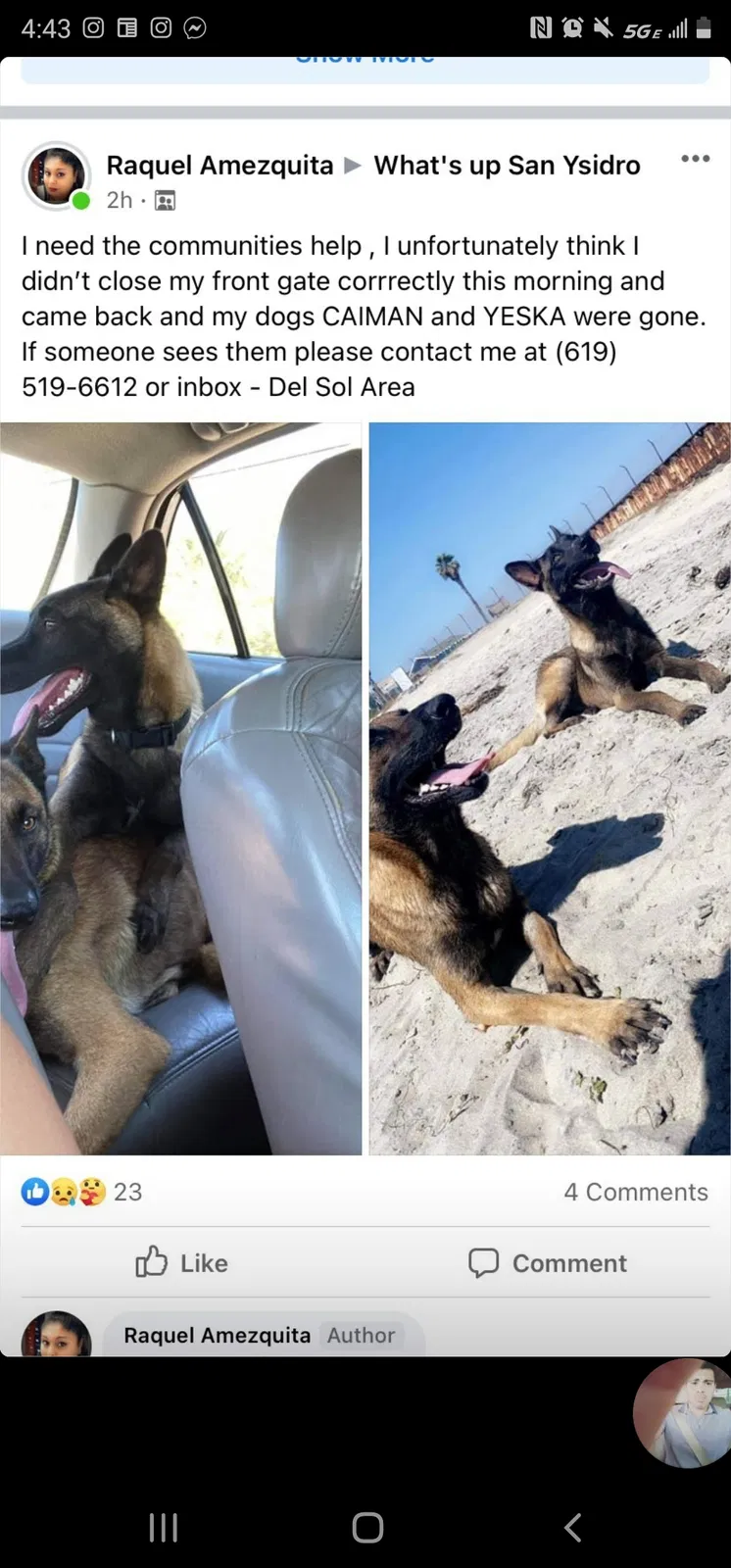 Lost dog in San Ysidro, CA, 92173
