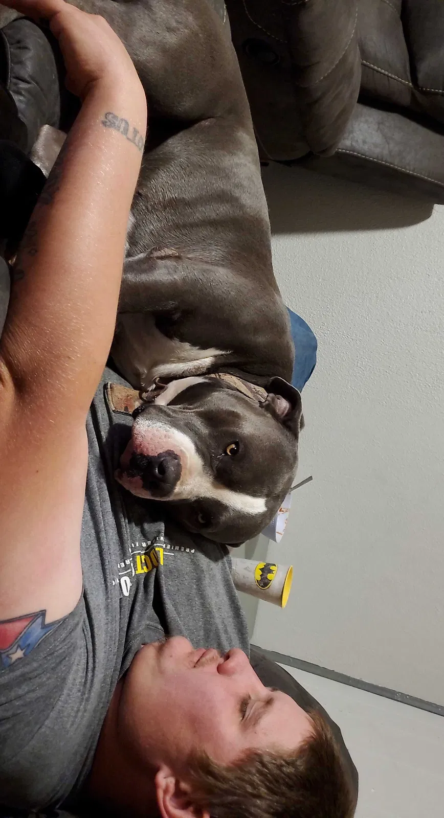 Lost dog in Odessa, TX, 79762