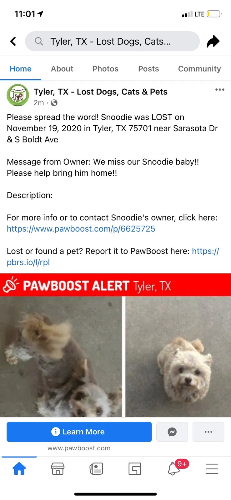 Lost dog in Tyler, TX, 75701
