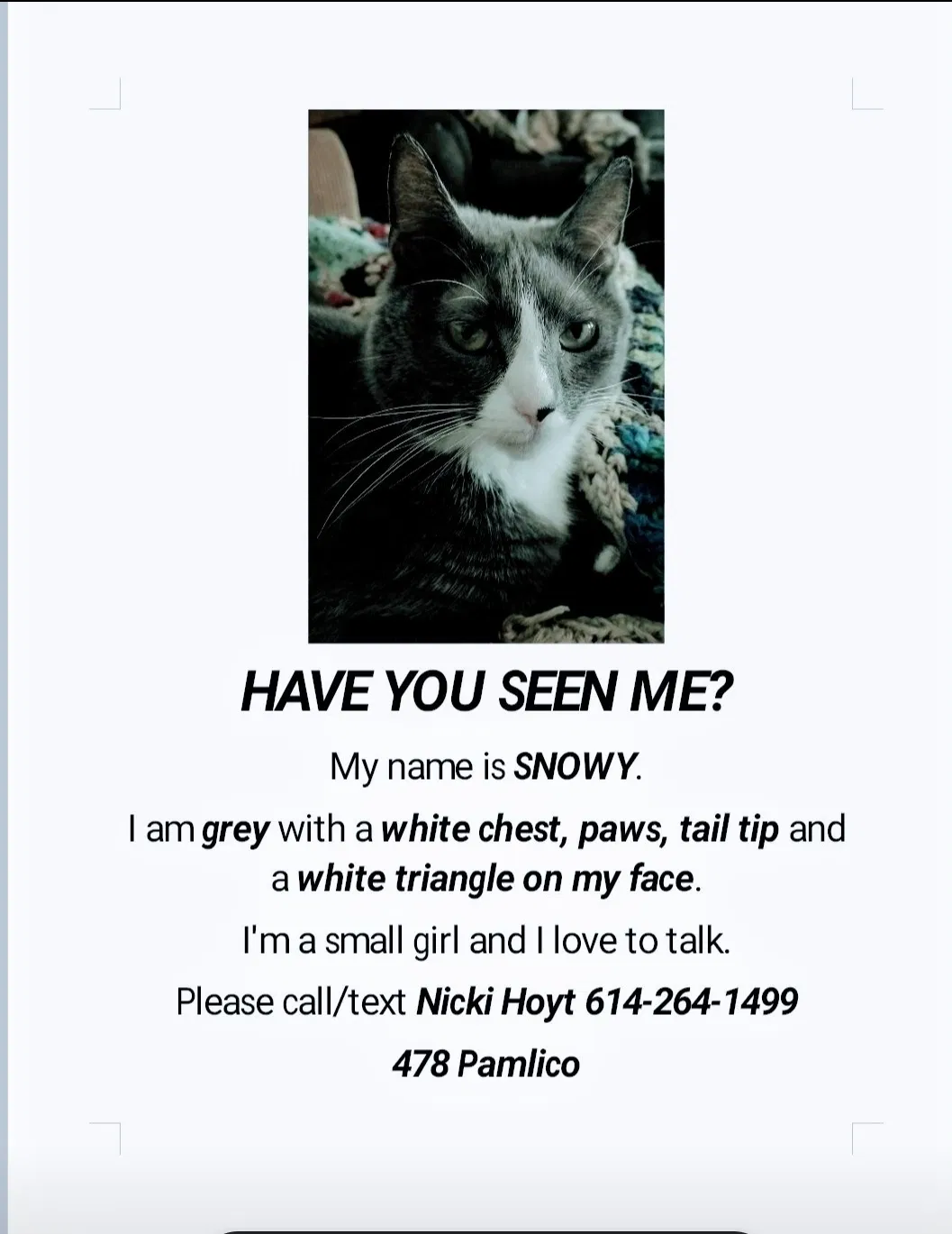 Lost cat in Columbus, OH, 43228