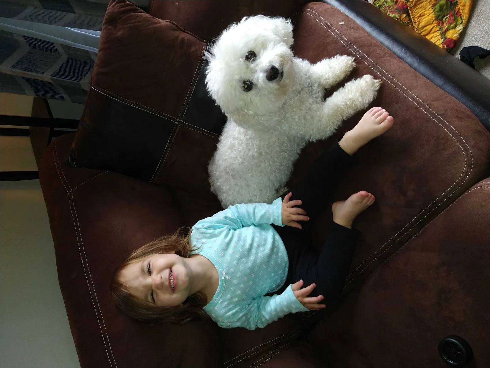 Lost dog in Upper Marlboro, MD, 20772