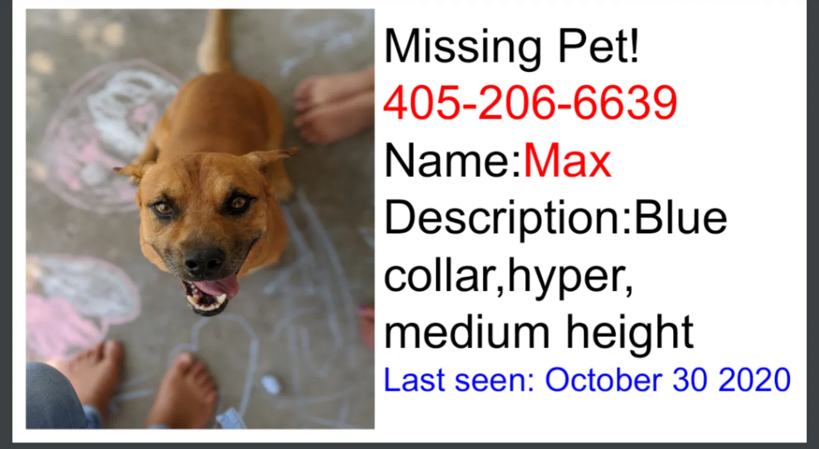 Lost dog in Bethany, OK, 73008