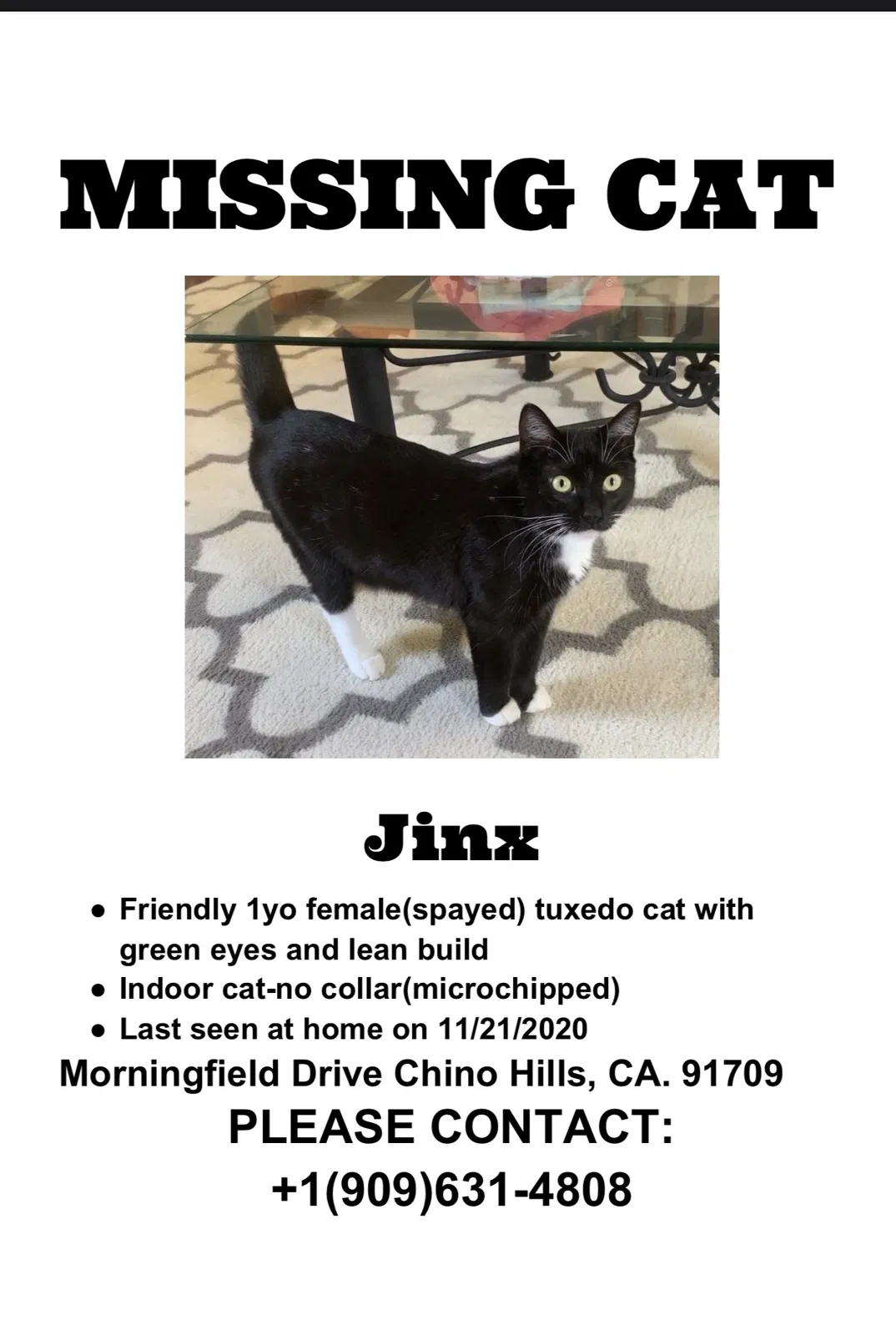 Lost cat in Chino Hills, CA, 91709