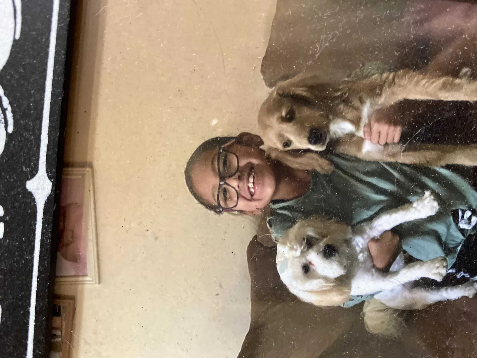 Lost dog in Paterson, NJ, 7502