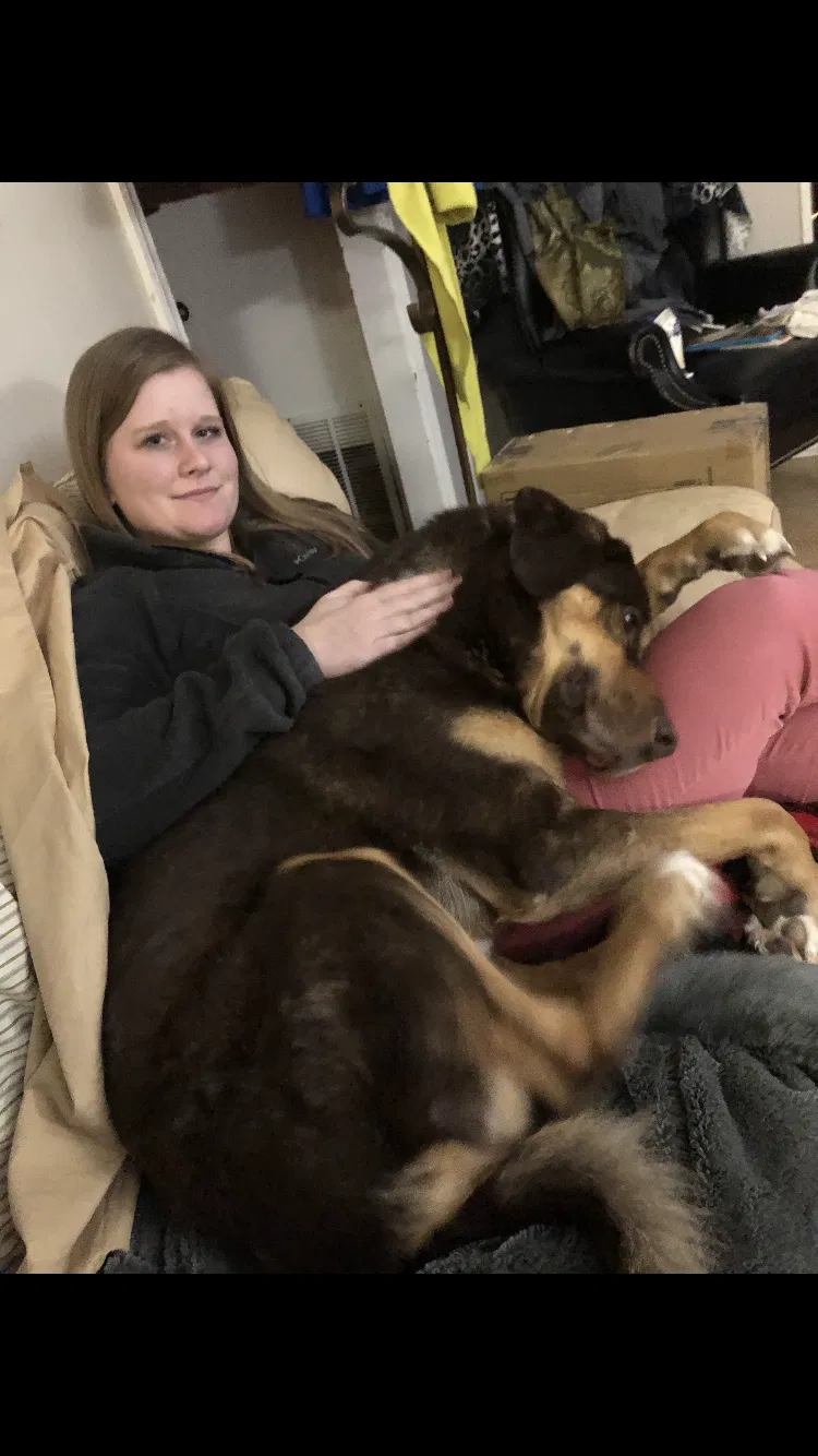 Lost dog in Sherwood, AR, 72120