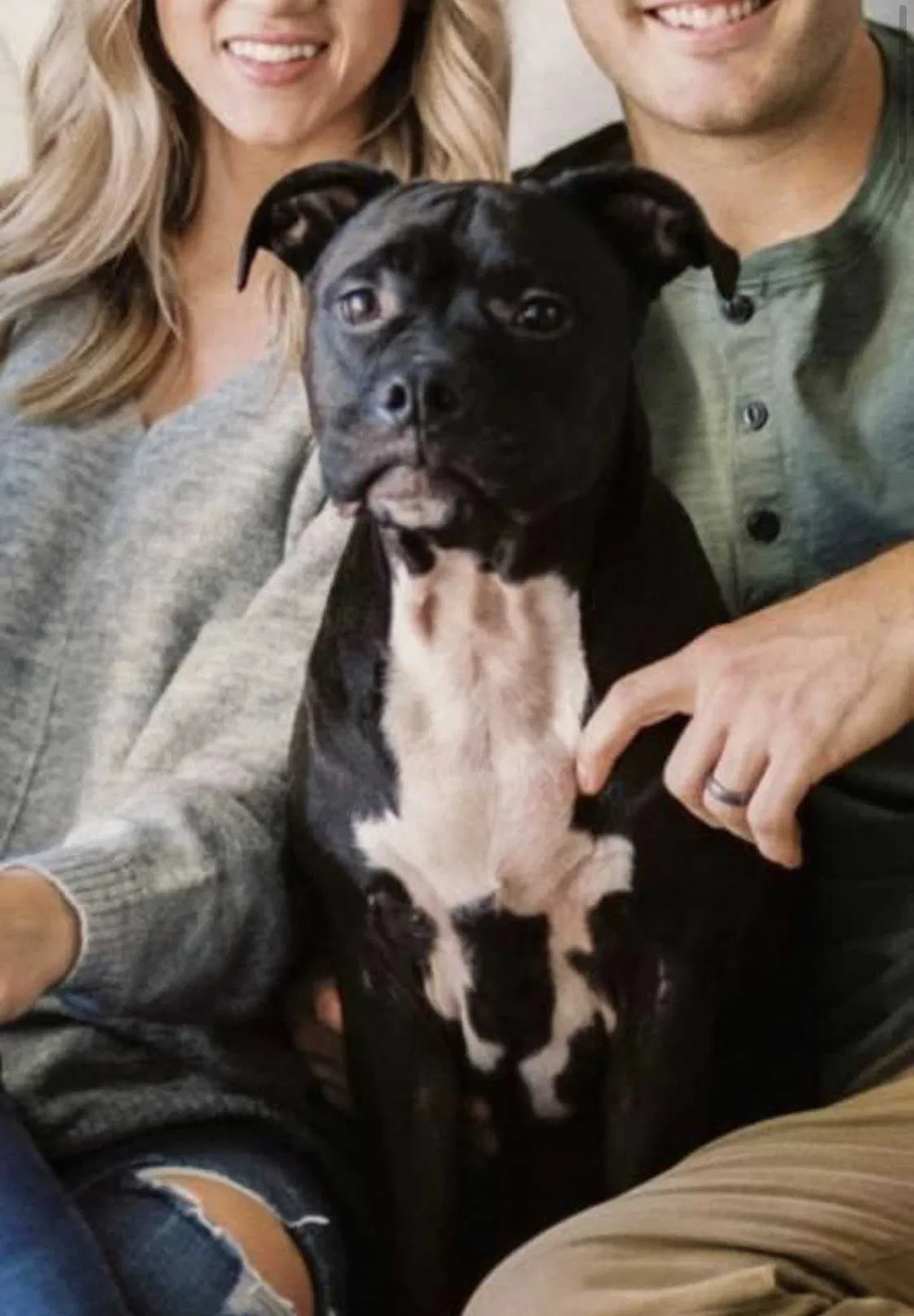 Lost dog in Bryan, TX, 77808