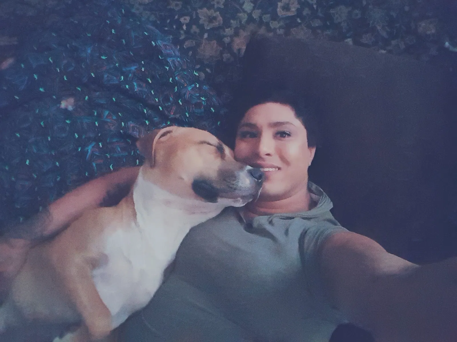 Lost dog in Beaumont, CA, 92223
