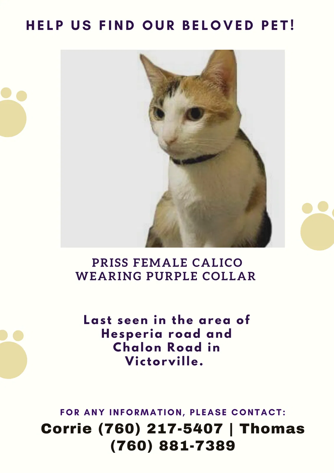 Lost cat in Victorville, CA, 92395