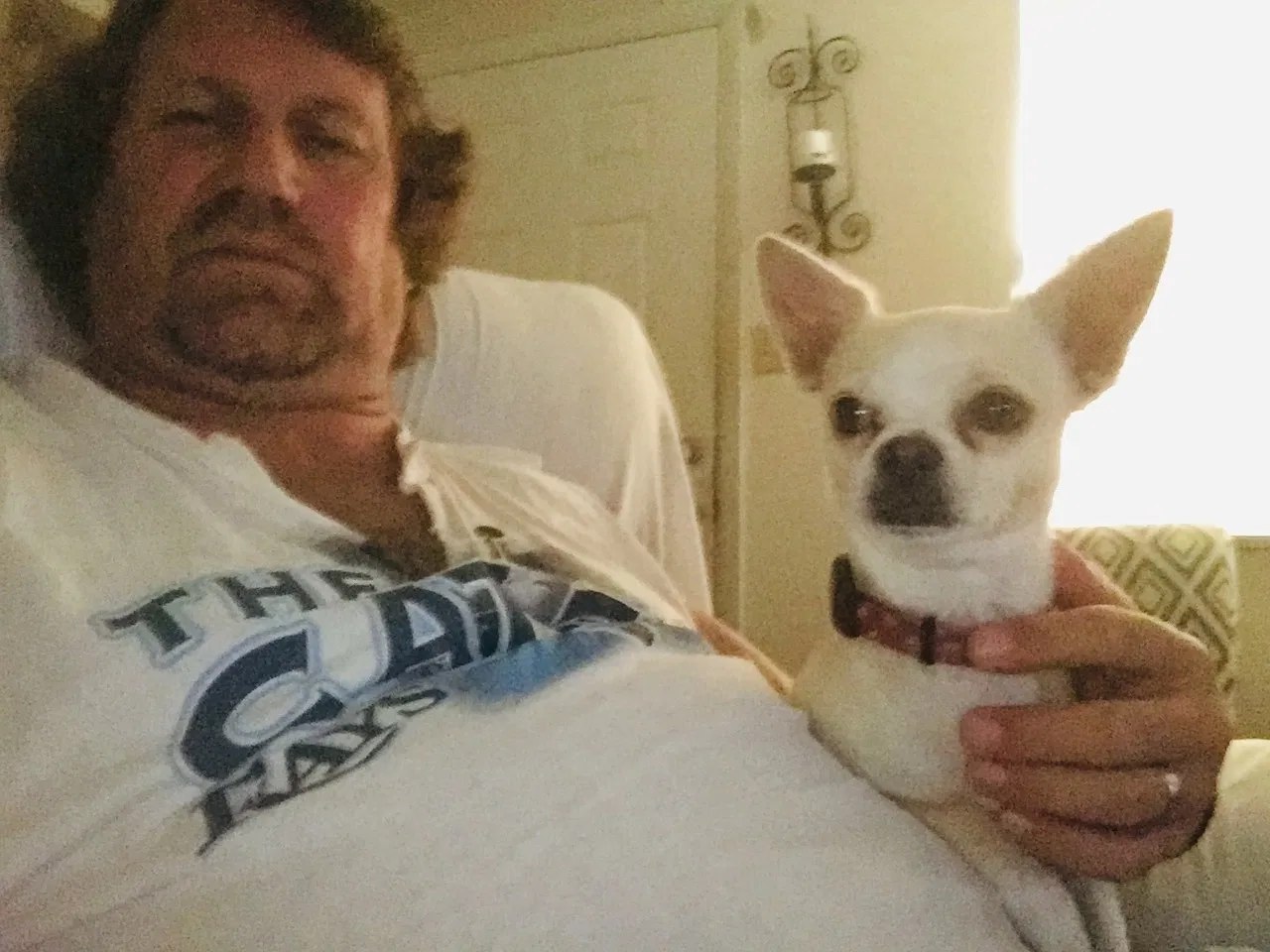 Lost dog in Holiday, FL, 34690