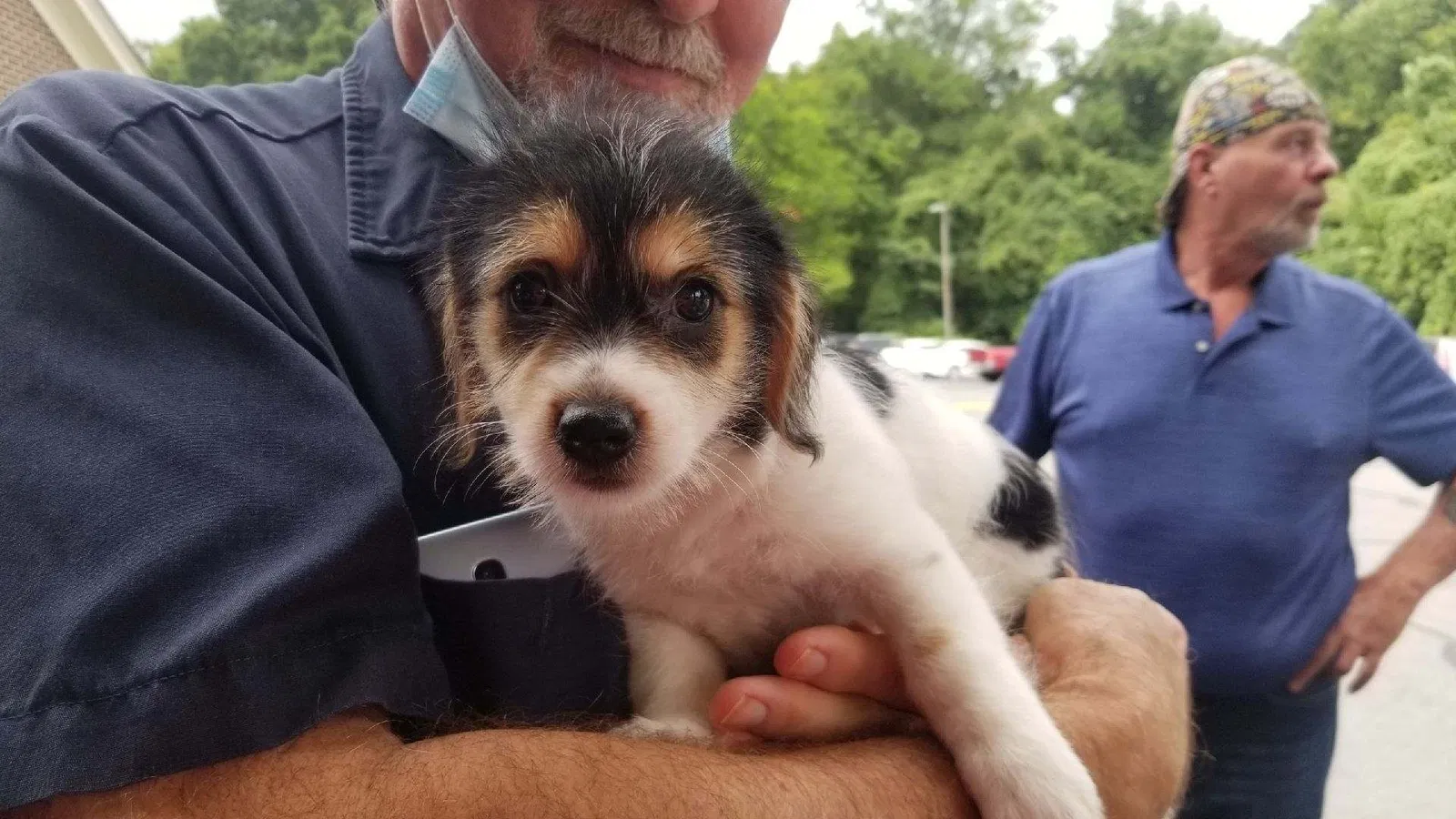 Lost dog in North Zulch, TX, 77872