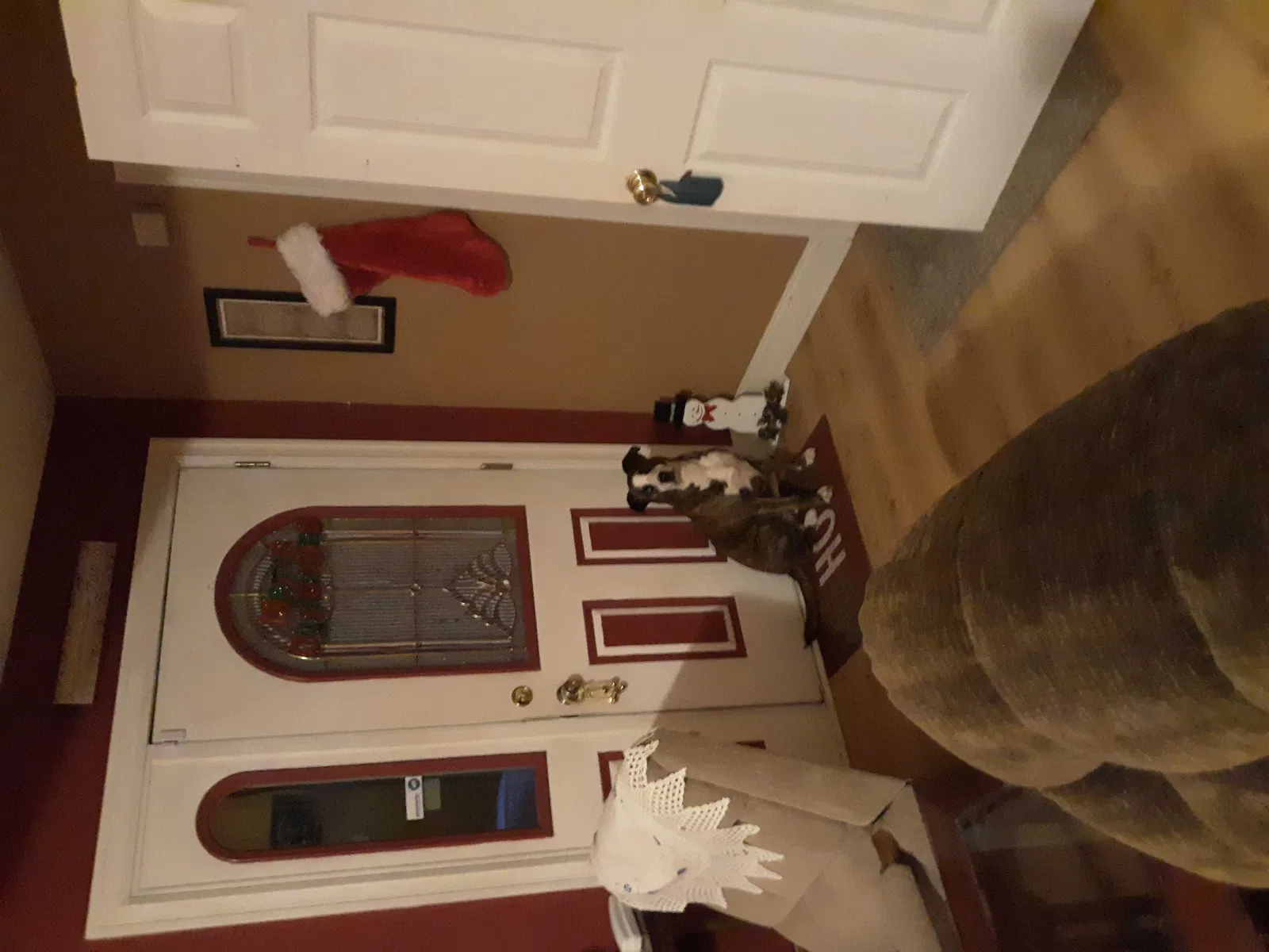 Lost dog in New Salem, PA, 15468