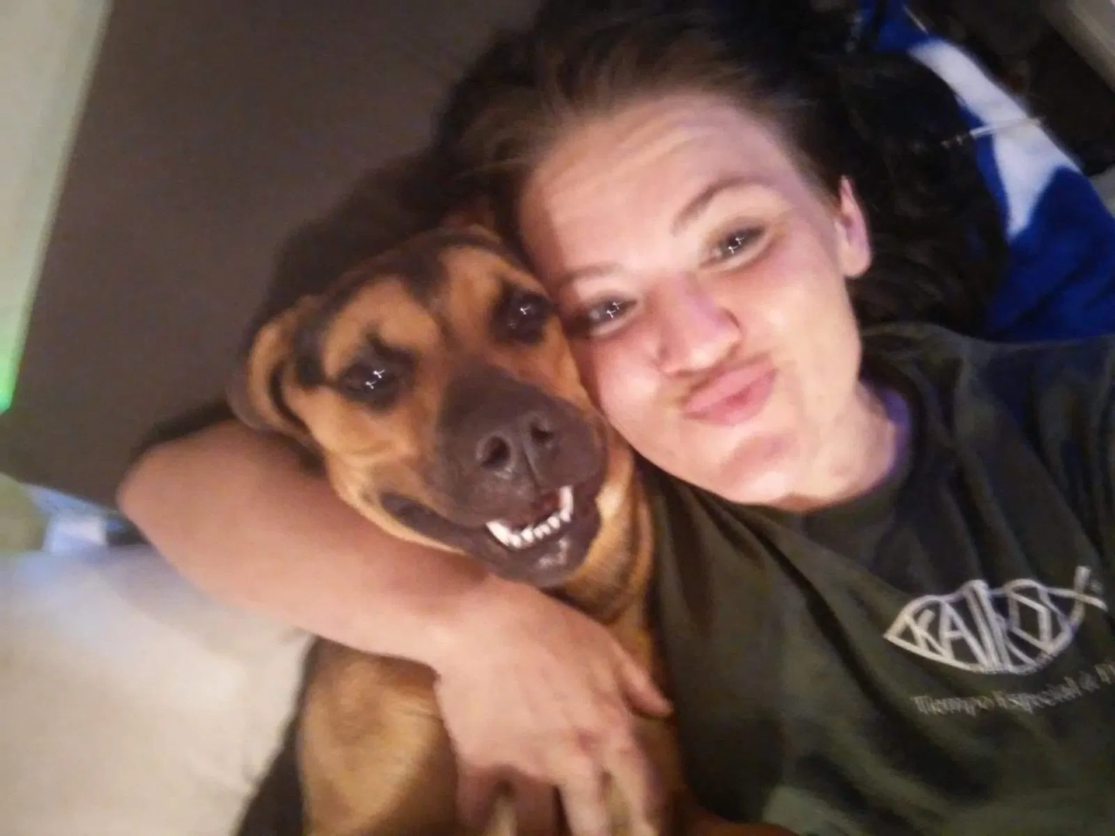 Lost dog in Laceys Spring, AL, 35754