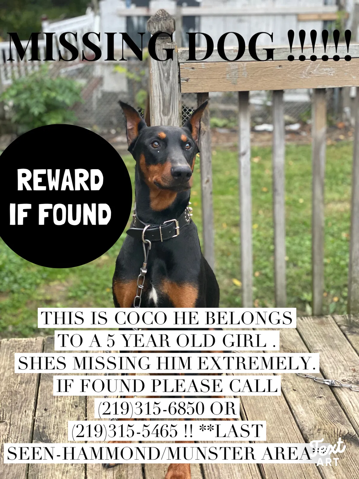 Lost dog in Hammond, IN, 46324