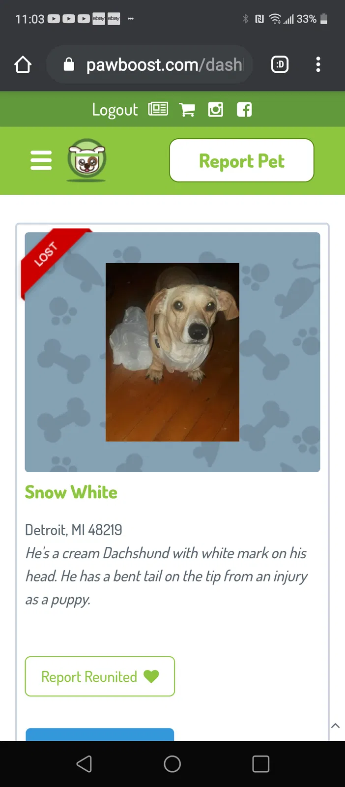 Lost dog in Detroit, MI, 48219