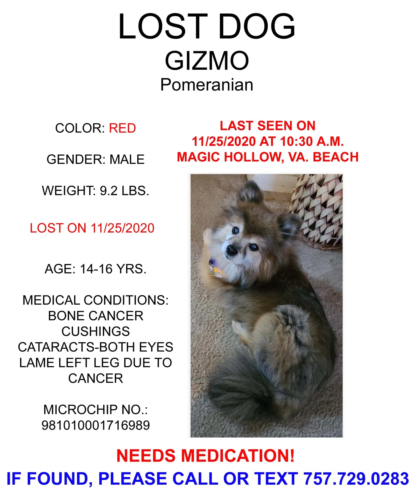 Lost dog in Virginia Beach, VA, 23453