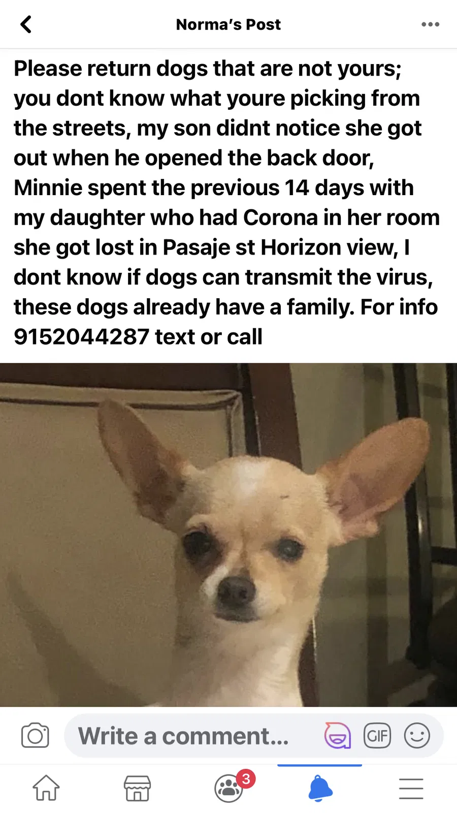 Lost dog in El Paso, TX, 79928